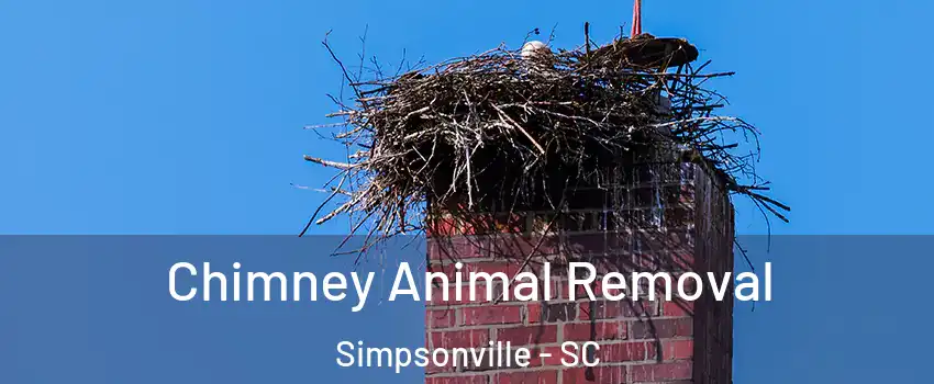  Chimney Animal Removal Simpsonville - SC