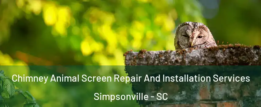  Chimney Animal Screen Repair And Installation Services Simpsonville - SC