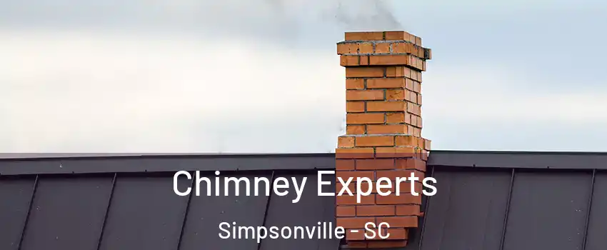  Chimney Experts Simpsonville - SC