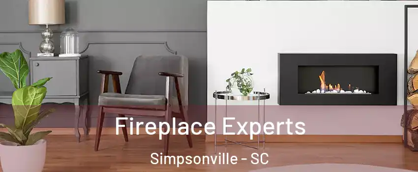  Fireplace Experts Simpsonville - SC