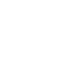 Professional Chimney Flue Installation in Simpsonville, South Carolina