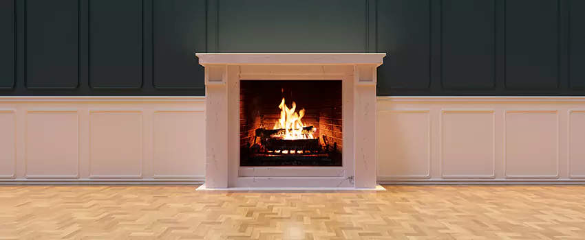 Napoleon Electric Fireplaces Inspection Service in Simpsonville, South Carolina