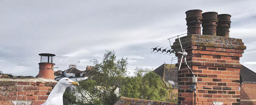 Chimney Cleaning And Restoration in Simpsonville, South Carolina