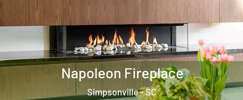  Napoleon Fireplace Simpsonville - SC